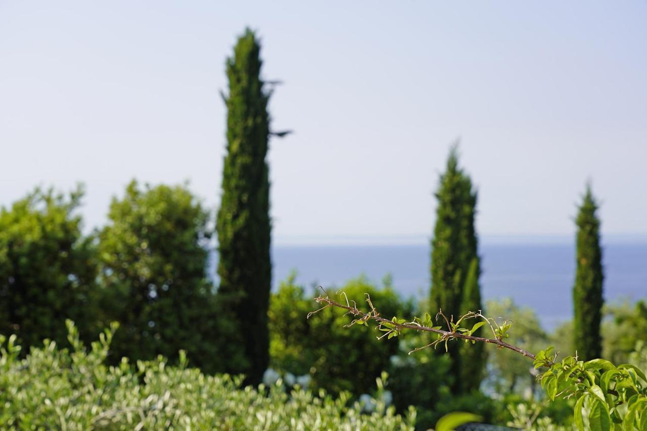 Villa Bouganville Toscolano Maderno Eksteriør bilde